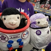 53171510_631810283924749_1923725501127123928_n (Large)