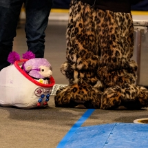 46710499525_185b62c5c4_k